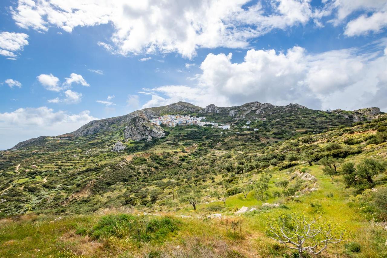 Olive Grove Cottage Menetai Exterior photo